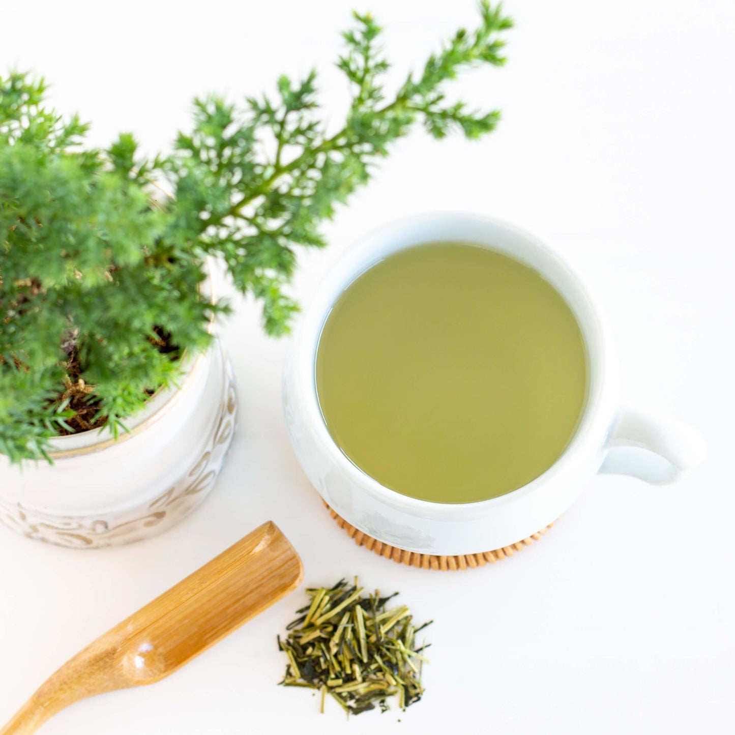 Kukicha Organic Green Tea shown from above as brewed tea in a pale blue teacup with a bonsai, bamboo scoop and loose tea leaves