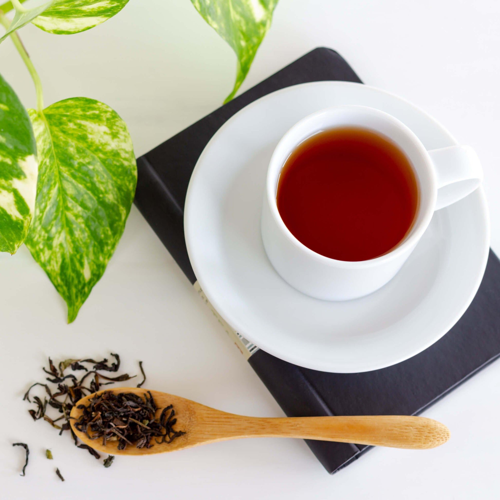 Organic Darjeeling Black Tea shown from above as brewed tea in a white teacup and saucer, displayed on a black book with a wooden spoon of loose tea leaves in front