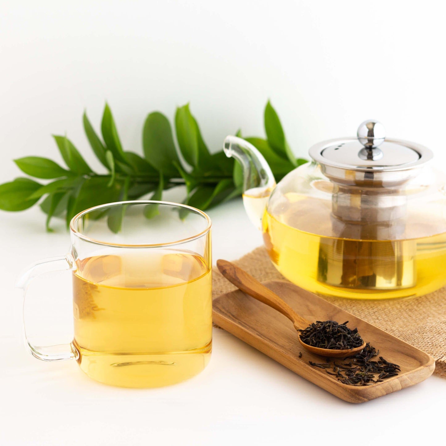 Monteviot First Flush Darjeeling Organic Black Tea shown brewed in a glass mug and in a glass teapot. A green plant is in the background, and a small wooden spoon on a tiny wooden tray holds loose tea leaves.