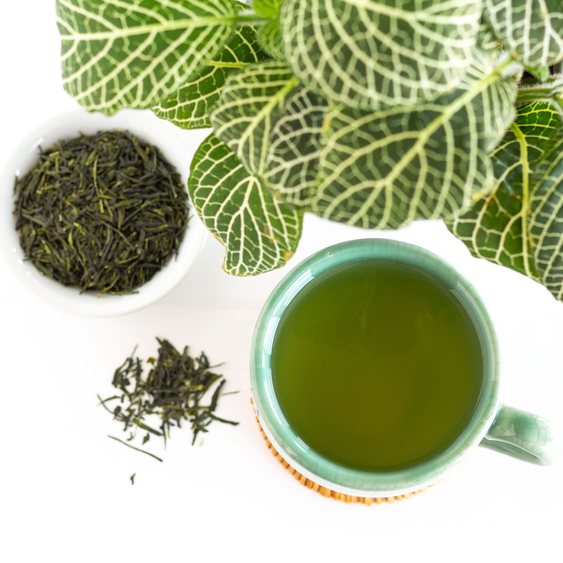 Sencha Organic Green Tea shown from above as brewed tea in a teal green mug, with small white dish of loose leaf tea and green plant