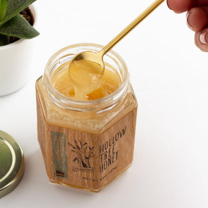 Hollow Tree Honey creamed honey (8 oz) shown in an open glass jar with a hand dipping a small gold spoonful out