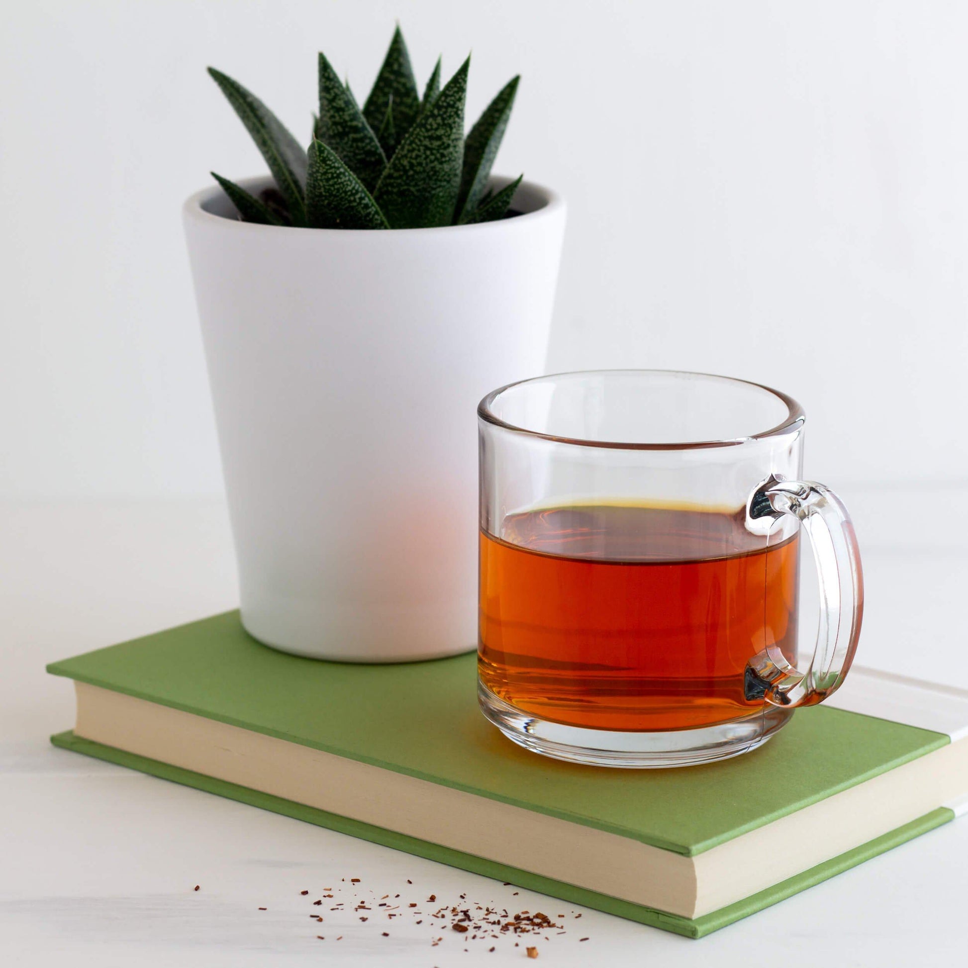 Glass mug of Rooibos Organic Herbal Tea with succulent