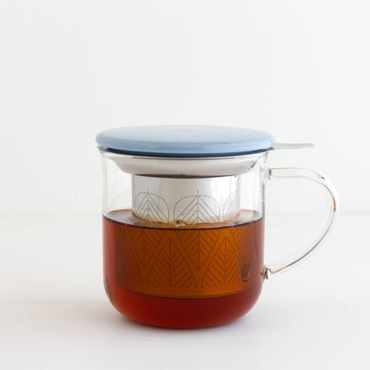 Glass Tea Infuser Mug