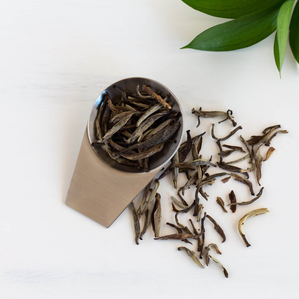 Jasmine Silver Needle White Tea ArtfulTea